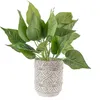 Clayre & Eef Blumentopf Ø 14x18 cm Grau Stein Produktbild-Vorschau 2