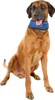 Fascia di raffreddamento Karlie Cooling Bandana Fresk M Anteprima dell’immagine prodotto 2