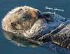 Otter Kalender 2027 Wandkalender Eintragkalender Produktbild-Vorschau 8