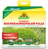 Neudorff Neudomon BuchsbaumzünslerFalle 1 Stk. Produktbild-Vorschau 1