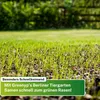 Greenyp® Berliner Tiergarten I robuster & schnellkeimender Produktbild-Vorschau 5
