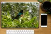 MuchoWow® Laptop Aufkleber Sticker Cover Vogel zwischen den Produktbild-Vorschau 2