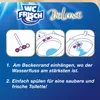 Frisches WC Deluxe Toilettenhänger, Magnolien-Duft, 1 Stück Produktbild-Vorschau 15