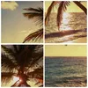 Bild auf Leinwand - Leinwandbild - Wolke exotischer Palm- Produktbild-Vorschau 8
