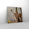 Bild auf Leinwand - Leinwandbild - Kitz Hirsch Tier wild - Produktbild-Vorschau 4
