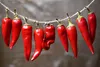 SAFLAX Anzucht Set - BIO - Chili - Barak - Capsicum annuum Produktbild-Vorschau 6