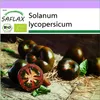 SAFLAX - BIO - Paradajka - Čierna čerešňa - Solanum Náhľad obrázku produktu 10