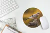MuchoWow® Mauspad Mousepad Vogel - Zweig - Eichelhäher Produktbild-Vorschau 5