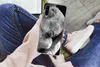 MuchoWow® Handyhülle Schutzhülle Hülle für Huawei P30 Produktbild-Vorschau 3