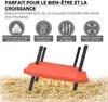 Fudajo 35x35cm topná deska pro kuřata s regulátorem teploty Náhled obrázku produktu 9