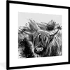 MuchoWow® Gerahmtes Poster Scottish Highlander - Farbe - Produktbild-Vorschau 1