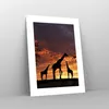 Poster - Poster ohne Rahmen - Giraffe Afrika Sonne Safari - Produktbild-Vorschau 7