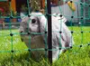 Kerbl Kit filet électrique pour lapins 65 cm 292209 Voir les images du produit 13