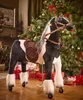 Cavallo meccanico Ponnie Domino XL PROFI Anteprima dell’immagine prodotto 4