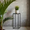 FRAMADO, Pflanzenständer Ferro, Metallregal, Blumenständer, Produktbild-Vorschau 3