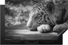 KitchenYeah© Herdabdeckplatte Tiger - Wild - Porträt , Produktbild-Vorschau 1