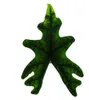 Alocasia tandurusa "Jacklyn" - Tropenwurz - Alokasie - Produktbild-Vorschau 3