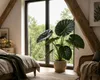 Alocasia Regal Shield, 60–80 cm. Également appelée "Oreille Voir les images du produit 1