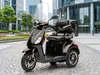 E-Seniorenmobil Denia, Lithium-Akku, 3-Rad, 1000 Watt, Produktbild-Vorschau 15