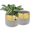 Two ceramic planters, one with a plant, against a white background. Podgląd zdjęcia produktu