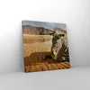Bild auf Leinwand - Leinwandbild - Zebra Strand Landschaft Produktbild-Vorschau 4