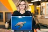 MuchoWow® Laptop Aufkleber Sticker Cover Schildkröte im Produktbild-Vorschau 5