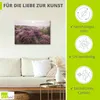 ARTland Leinwandbild Blühende Heidelandschaft auf Sylt Produktbild-Vorschau 2