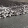 Edler Teppich Shaggy Hochflor Einfarbig Flauschig Glänzend Produktbild-Vorschau 2
