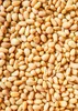 KoRo I  Pinienkerne 500 g Produktbild-Vorschau 3