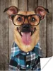 MuchoWow® Poster Hund - Brille - Bluse - Hipster 120x160 cm Produktbild-Vorschau 1