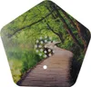 Olymp Nature BOX Produktbild-Vorschau 8