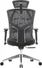 The back view of a black ergonomic office chair with a headrest and armrests, shown on a white background. Náhled obrázku produktu