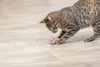 Trixie Katzenspielzeug Seepferdchen Náhled obrázku produktu 7