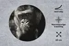 MuchoWow® Mauspad Mousepad Tierprofil Gorilla in schwarz Produktbild-Vorschau 2