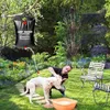 A man is washing a dog in a garden with a solar camping shower hanging from a tree branch. Náhled obrázku produktu
