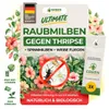 Turbo Raubmilben Swirskii gegen Thripse, Weiße Fliegen & Produktbild-Vorschau 1