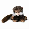 WWF - Plüschtier - Bartäffchen [Saguinus] (18cm) lebensecht Produktbild-Vorschau 5