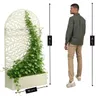 Mica Decorations Sapri Podpora do roślin – skrzynka na Podgląd zdjęcia produktu 3