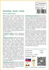 SAFLAX - Darjeeling – banán - Musa sikkimensis - 5 Semená Náhľad obrázku produktu 3