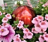 A close-up of a red decorative sphere nestled among pink and purple flowers. Produktbild-Vorschau