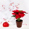 3.08 Poinsettia 20 cm en pot de terre cuite - Poinsettia / Voir les images du produit 4