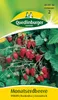 Monatserdbeere, Rügen Produktbild-Vorschau 5