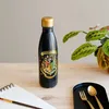 Erik Editores Harry Potter Hogwarts 500ml Hot & Cold Produktbild-Vorschau 3