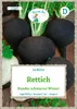 Rettich Runder schwarzer Winter | Rettichsamen von Grüne Produktbild-Vorschau 3