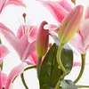 Mica Decorations Tigerlilien Kunstpflanze im Blumentopf Produktbild-Vorschau 4