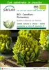 SAFLAX  -- Cavolfiore - Romanesco - 50 semi - Con substrato Anteprima dell’immagine prodotto 1