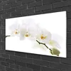 Acrylglasbilder 100x50 Wandbild Druck Blumen Pflanzen Produktbild-Vorschau 2