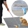 A person is using a cleaning brush to remove pet hair from a rug, with a cat sitting nearby. Náhled obrázku produktu