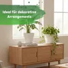 LENI Hydrokultur Komplett-Set mit Blumentopf Kulturtopf Produktbild-Vorschau 9