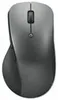 Lenovo Professional - Maus - ergonomisch - optisch blau Produktbild-Vorschau 12